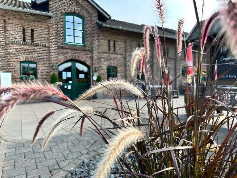 Die beeindruckende Eventlocation Burg Niederpleis – ein historisches Juwel, das mit seiner majestätischen Architektur und malerischen Umgebung den perfekten Rahmen für unvergessliche Feiern bietet.