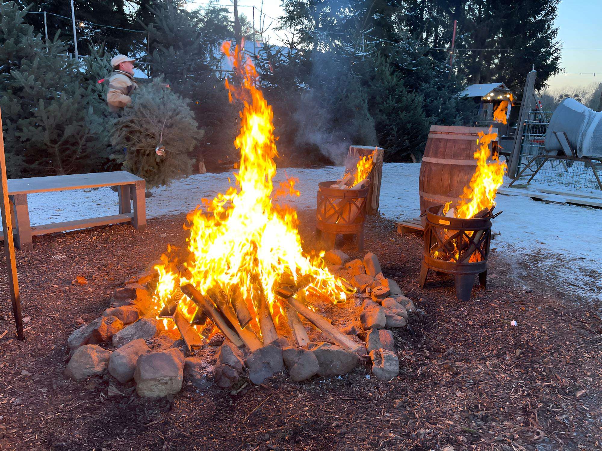 Lagerfeuer Weihnachtsbäume(1)